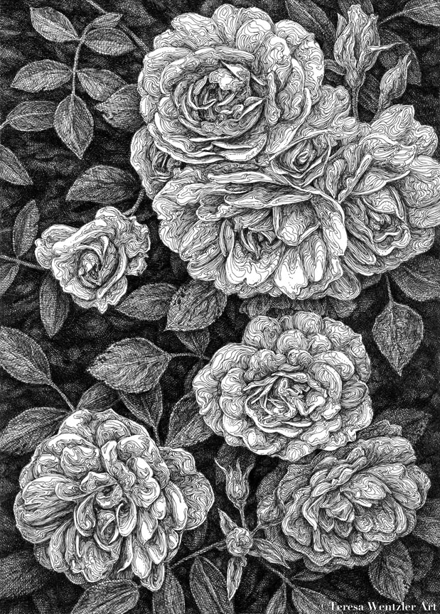 abundance pen drawing