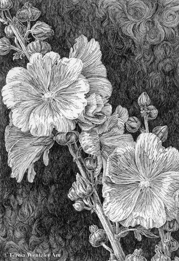 hollyhocks pen drawing